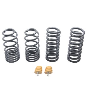 Ford Mustang Suspension Lowering Springs - ST Suspensions - Sport-tech - `94-`04